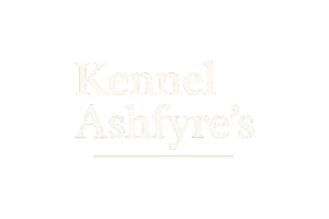 Kennel Ashfyre's